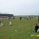biegi 173